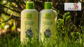 Łagodzący i pielęgnujący szampon z wyciągu ziołowego